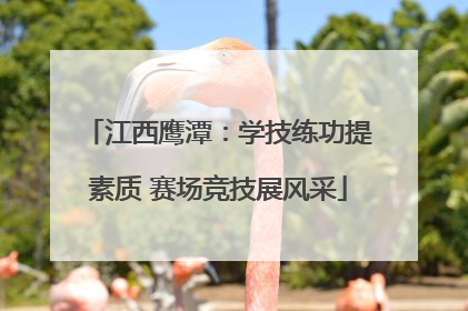 江西鹰潭：学技练功提素质 赛场竞技展风采